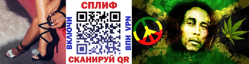 Конопля гибрид  Можайск 